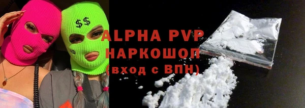 сатива Аркадак
