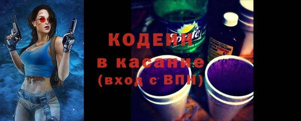 сатива Аркадак