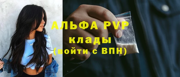 сатива Аркадак