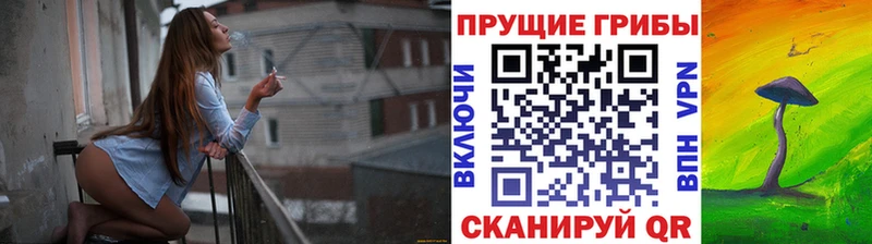 Псилоцибиновые грибы мухоморы Пыталово