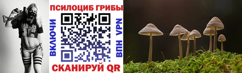 omg зеркало  Пыталово  Галлюциногенные грибы ЛСД 